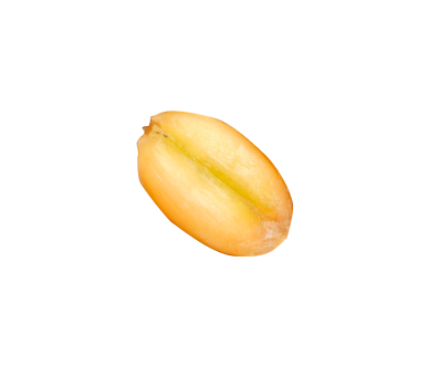 Главная