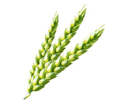 Главная