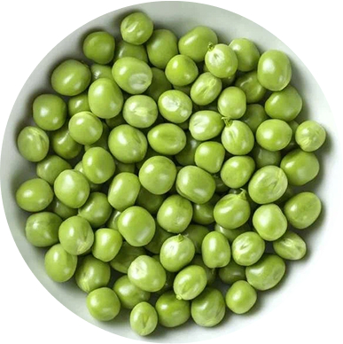 Главная